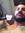 Alex Da...