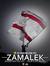 Ahmed Fozi