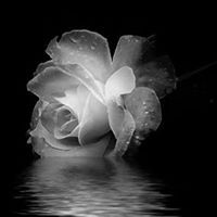 مغلق نهائيا