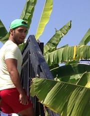 Youssef Matar