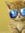 Cool Cat | 7 comments