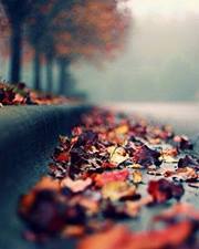 তৌফিক আহমেদ