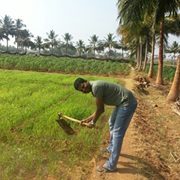 Sasi Kumar