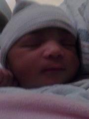 Lee Shewmaker mclachlen