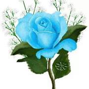 วนิดา นาคไพจิตร