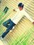 Manoj N...