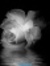 Zurina Rose