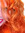 Casey Carlisle | 2 comments