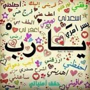 عامر الصارمي