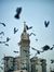 Marwa N...