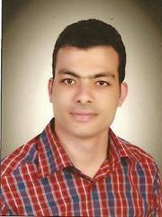 Tarek Elsayed