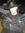 Matthew Mitchell | 1 comments