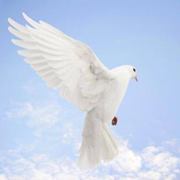 Jannah Ahmed