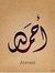 احمد اب...