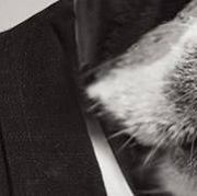 Nattakit Klinpratoom