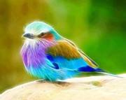 Wael