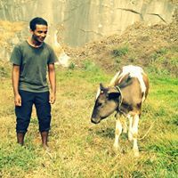 Jabir Kadavath