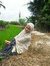 Aeya Pg...