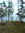 Miskaankwaad