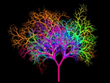 Zohar Spiderslayer Protector of Ants 