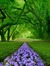 Diane S...
