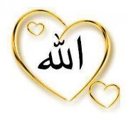 اسيل القاضي