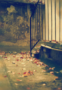 أفنان اليماني