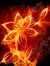 Books On Fire