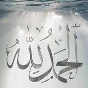 הישאם אבו סריחאן