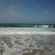 Holly Morrison orton