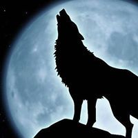 Ranadheer Muddangula