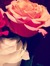 Amel