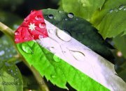 اسماء الرواحنة