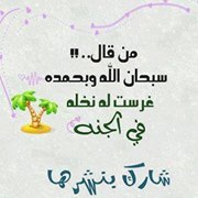 ضوء الشمس