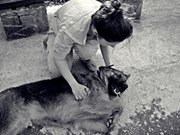 Гери Стефанова