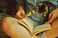Girly Book Nerd