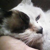 Katia Chavez vasquez