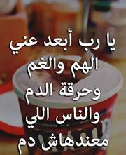 Menna Dessouky