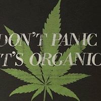 Хакер Тревоман