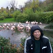 Ahmed Abd el rahman