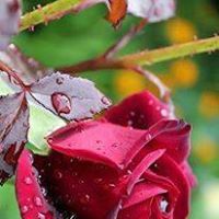 فاطمة عبدالله