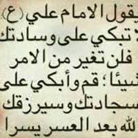 Fady Shaheen