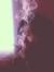 Deniz Ugur
