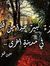 محمد رافعے