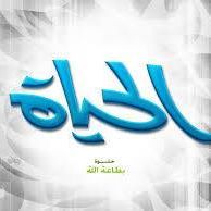 Ahmed Elembaby