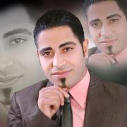 هشام المصرى