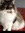 Joni Mayhugh | 3 comments