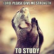 Иван Димитров