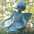 Darci