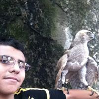 Nabeel Ahmed